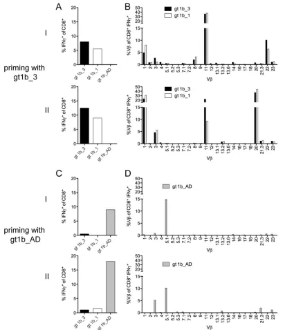FIG 4 Distinct T cell receptor V� repertoire of gt1b_3-primed CD8� T cells. Naive CD8� T cells (donor D8) were primed in parallel with gt1b_3 (A and B) orwith gt1b_AD (C and D) for 28 days and restimulated with the peptides gt1b_3, gt1b_1, and gt1b_AD in t