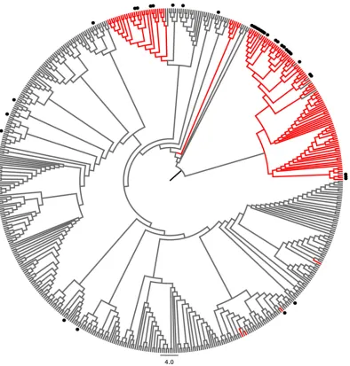 FIG 6 The epitope variant gt1b_3 is enriched in HCV genotype 1b isolates from Asia. All available HCV genotype 1b NS3 sequences were retrieved from thepublic HCV sequence database