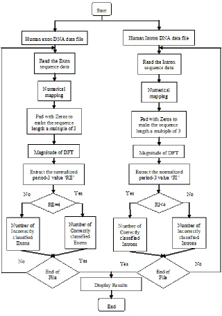 Fig. 3.1 Flowchart for human dataset classification with DFT using various numerical  