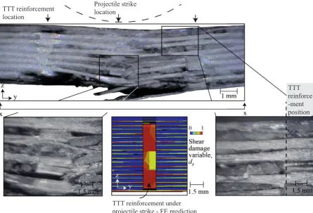 Fig. 6.v0= Optical microscopic images of the cross-sectioned sample after impact by a projectile at76 ms−1