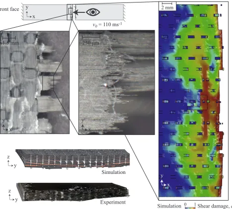 Fig. 7.110 msvalue of shear damage variable, Comparison between the experimentally observed and predicted damage mechanisms for a medium velocity projectile impact event ( dsv−0=1)