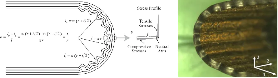 FIGURE 3.  FIBER MICROBUCKLING IN A SOFT-MATRIX COMPOSITE [6] 