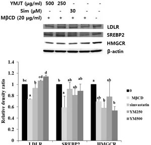 Figure 5. Effects of YMJT on cholesterol synthesis in HepG2 cells. HepG2 cells were treated with 30 μM simvastatin or YMJT (250, 500 μg/mL) with 20 μg/mL MβCD for 8 h in 0.2% BSA-DMEM