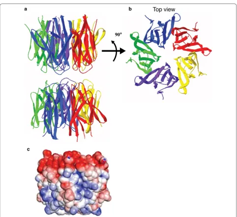 Fig. 3 a The crystal structure of the N-terminal oligomerization domain of NPM1 organized in a decamer, with two NPM1 pentameric rings stacked in a head-to-head fashion