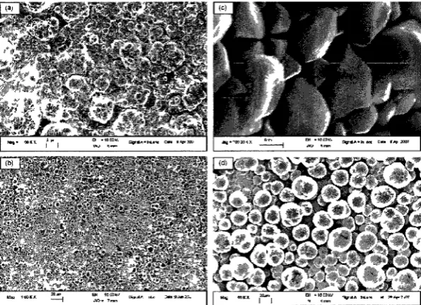 Fig 2-19 Model of the interface between super-hydrophobic surface and sterile seawater [13] 