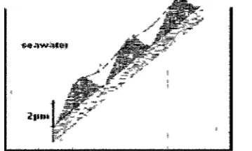 Fig 2-24 A schematic of a rough surface immersed in seawater [18] 