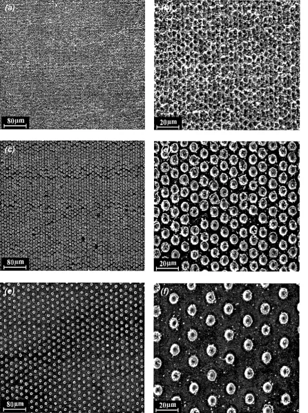 Fig 4-2 The SEM micrographs of samples (a) and (b) D5L5; (c) and (d) D5L10; (e) and (f) D5L20 after laser ablation process