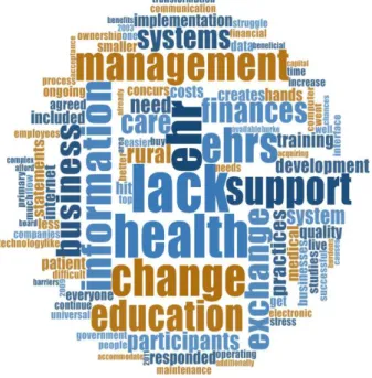 Figure 1. Word cloud generated from face-to-face interviews regarding the participant  perceptions of overcoming barriers to implementing EHRs