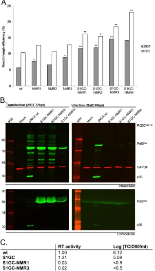 FIG 3 Readthrough efﬁciencies and virus replication analysis of second-generation readthrough signal mutants