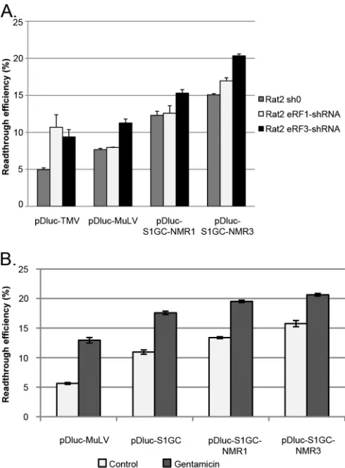 FIG 4 Nontargeted global deregulation of termination. (A) Effect of releasefactor knockdown on MuLV readthrough efﬁciency