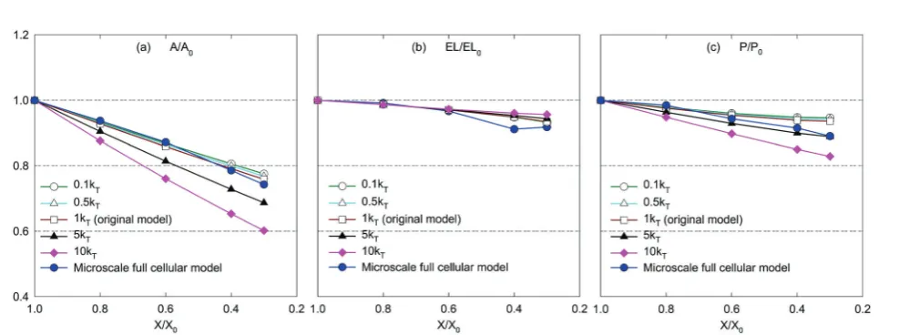 Fig. 11Influence of turgor coeﬃcient (kT) on morphological parameters of a microscale tissue: (a) A/A0, (b) EL/EL0, and (c) P/P0.