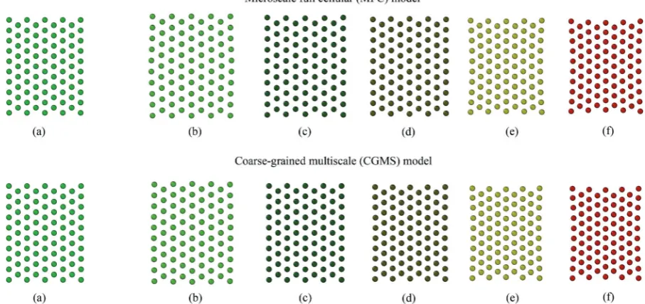 Fig. 3Fundamental physical behaviour of the microscale full cellular (MFC) and coarse-grained multiscale (CGMS) models under diﬀerent dryness levels:(a) initial condition before simulations, (b) fresh condition: X/X0 = 1.0, dried conditions: (c) X/X0 = 0.8, (d) X/X0 = 0.6, (e) X/X0 = 0.4, and (f) X/X0 = 0.3.