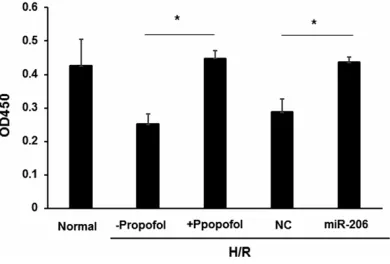 Figure 1. Expression of miR-206 in NSC-34 cells. Normal NSC-34 cells orNSC-34 cells administrated with H/R were treated with propofol (H/R+ propofol) or left untreated (H/R), and miR-206 expression was analyzed by Real time PCR