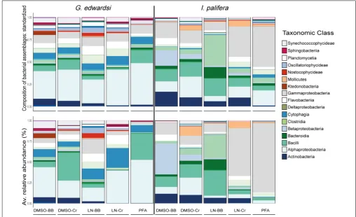 FIGURE 6 | Bacterial assemblage composition (top) and structure (bottom) among preservation and homogenization methods inlegend see G