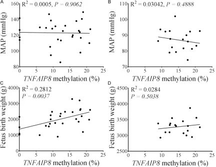 Figure 5. Correlation analyses between TNFAIP8 methylation in the placenta and clinical parameters