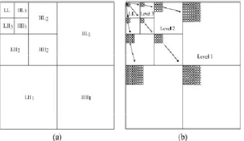 Fig 3.The tree selection from the three DWT orientations. 