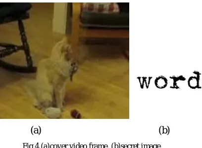 Fig 4.(a)cover video frame  (b)secret image   