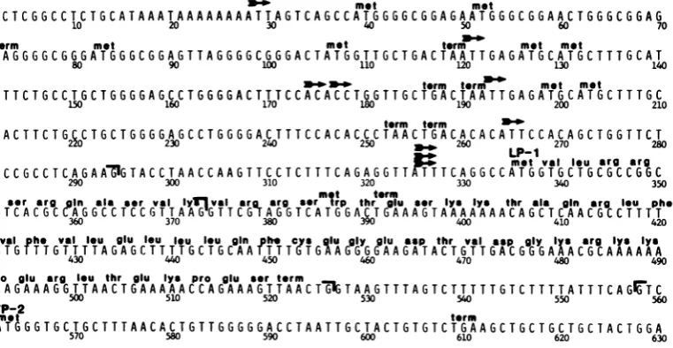 Figure 161-amino shows the precise map location of the acid protein that could be encoded by