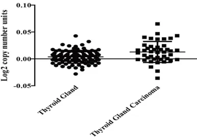 Figure 4. Knockdown of RPS15A promoted apoptosis in TT cell line. (A) Quantification of apoptotic cells in TT cells by flow cytometry, including early apoptotic cells (Annexin V+/7-ADD-) and late apoptotic cells (Annexin V+/7-ADD+)
