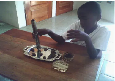 Figure 4.16. (#2) Delroy, counting cashew seeds  