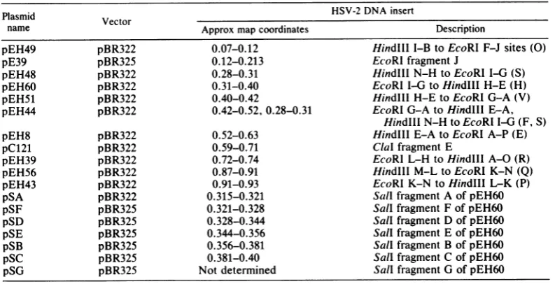 FIG. 2.fragmentwerefrompEH60;plasmidelectrophoresislanesmaller, Characterization of viral DNA fragments inserted in plasmids used in this study