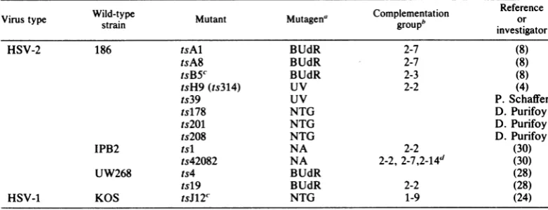 TABLE 1. Properties of HSV-1 and HSV-2 ts mutants used in this study
