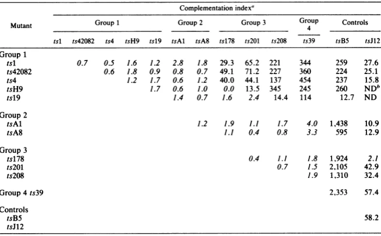 TABLE 2. Complementation among ts mutants of HSV-2