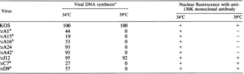 TABLE 2. Viral DNA synthesis and fluorescent staining with anti-130K monoclonal antibody of wild-typevirus and ts mutants of HSV-1 at 34 and 39°C