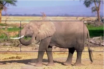 Figure 2.1. An example of dividing an image into five regions 