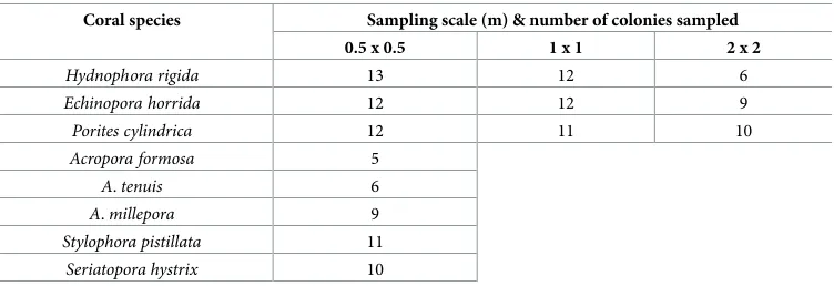 Table 1. Number of coral colonies sampled at three different scales.