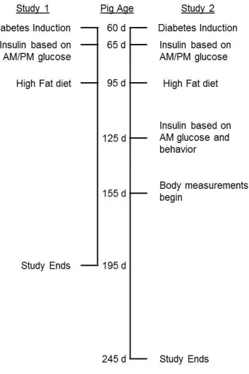 Figure 2. Schedule of events relative to pig age for Studies 1 and 2.  