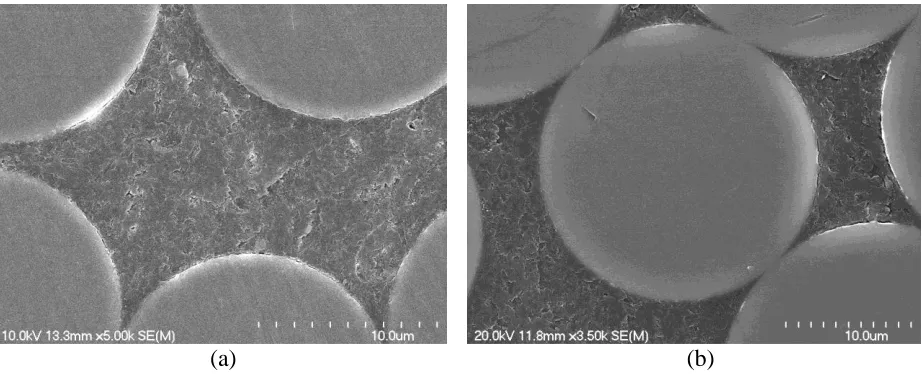 Figure 8. Micrographs of the fiber–matrix interface of an epoxy GFRP bar before and after conditioning: (a) before conditioning; (b) after conditioning 