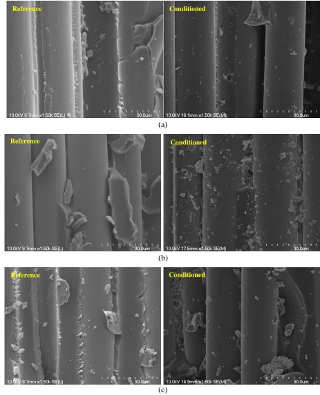 Figure 11. Micrographs of bars conditioned in the alkaline solution for 1,000 h at 60oC (after interlaminar shear failure): (a) polyester GFRP; (b) vinyl-ester GFRP; (c) epoxy GFRP 