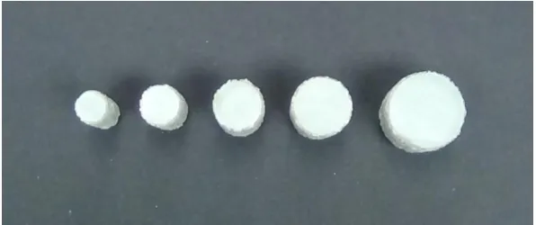 Figure 1 – Tested GFRP bars specimens 