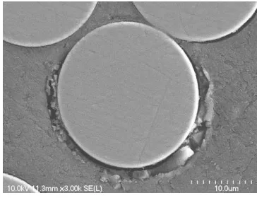 Figure 10 - SEM micrographs of the conditioned GFRP bars 