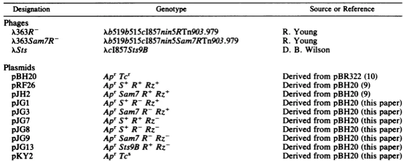 TABLE 1. Phages and plasmidsGenotype