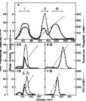 FIG. 1.cellulose Chromatography of extracts from TPA-treated P3HR-1 cells. Details of the procedures for DEAE (A), phosphocellulose (B), and DNA-cellulose (C) chromatography are described in the text.