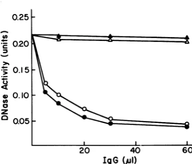 FIG. 3.fractionityDNADNases.werefiedlose-purified Neutralizing activity of NPC serum on The method of neutralization of DNase activ- is described in the legend to Fig