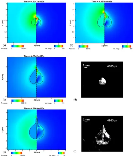 Figure 10. Case 3, ζ=0.014: Bubble rebound. Note the jet pierces the bubble forming a toroidal structure