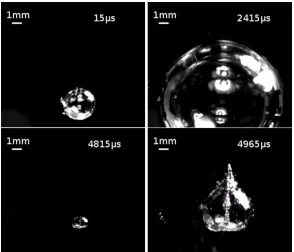 Figure 1. Evolution of the bubble shape, showing growth and collapse/rebound. Gravity acts at the vertical direction, towards  the bottom