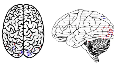 Figure 10: Most predictable voxels for dependecybased word2vec(red) and the experiential model(blue)