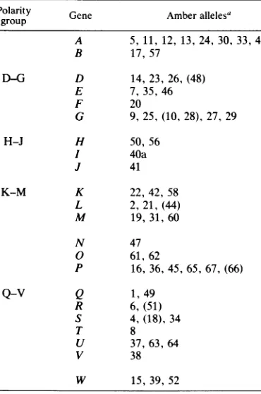 TABLE 3. List of the genes, their alleles, and thepolarity groups of phage 186 as defined bycomplementation tests