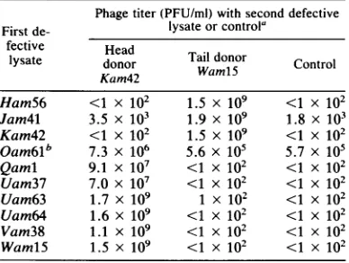TABLE 5. In vitro reconstitution with strains withmutations in genes H, J, K, 0, Q, U, V, and W