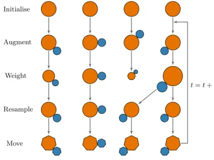 Figure 1.7: An illustration of the sequential importance resampling and move algorithm.