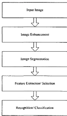 Figure 1.1: Principal stages of image analysis system 