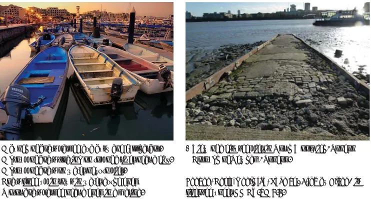 Figure 3: Image-caption examples from MS COCO (left) and Wikimedia Commons (right).