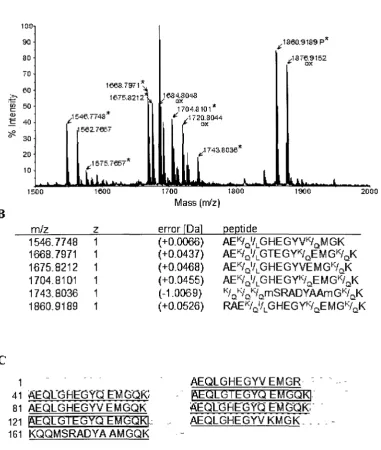Figure 2. Analysis of trysin generated peptides from the 21 kDa protein by matrix-assisted laser desorption-ionization (MALDI)-tandem mass spectrometry 