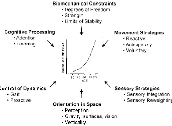 Figure 1: Important resources required for postural stability and orientation (Horak, 2006)