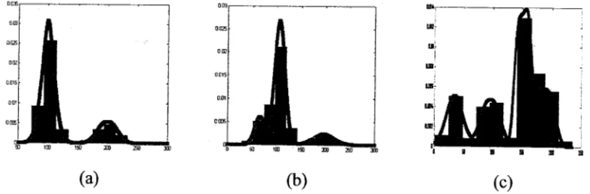 Figure 2.2: Real and estimated histograms for the three datasets. (a) First dataset with M=I, (b)