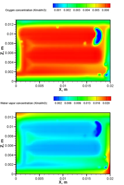 Figure 4.7: Oxygen and water vapor concentration distributions on the cathode GDL/catalyst layer interface(Y = 0.0023m) at t = 0.62 s